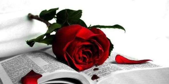 MHMD43636906's profile banner image