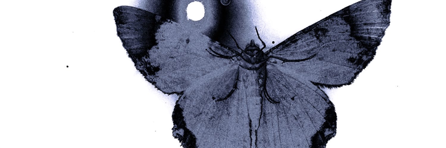 N † ¢ O 🪭 banner