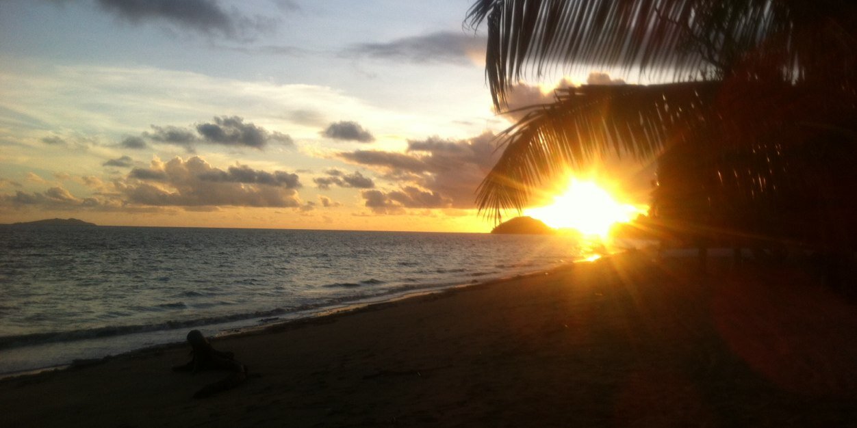 Steve Jamieson banner