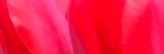 raisincream's profile banner image