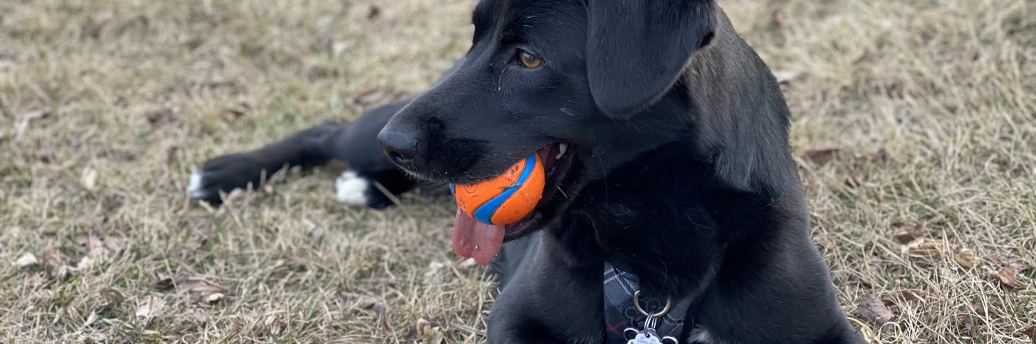 brettsmithPA's profile banner image