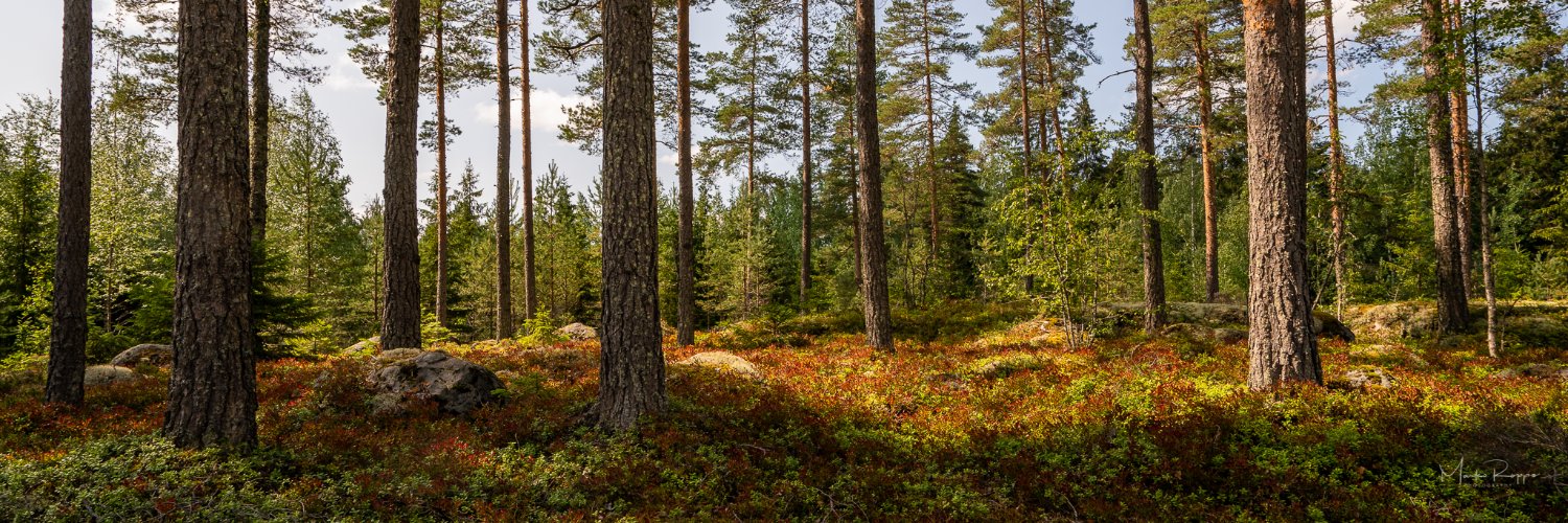 Marko Roppo | @markoroppo.bsky.social 🇫🇮🇺🇦 banner