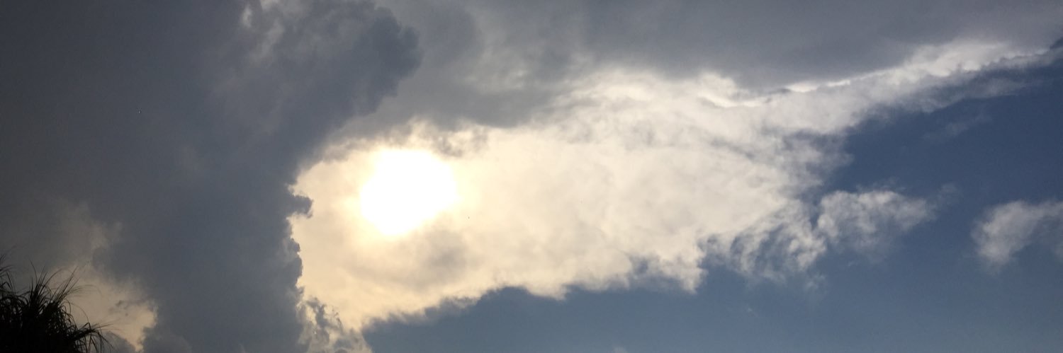 ilidulout's profile banner image