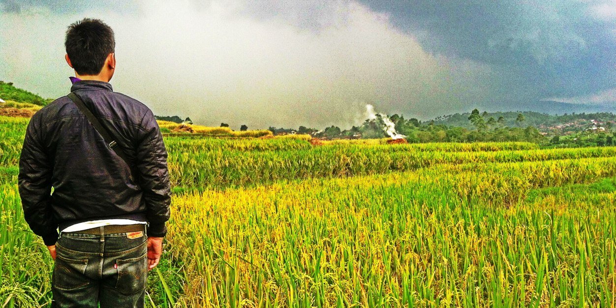 ryanekek's profile banner image