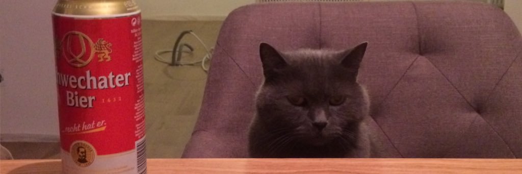 Andreas Pucher banner