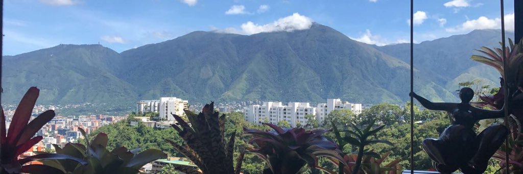 Victoria Gautier banner