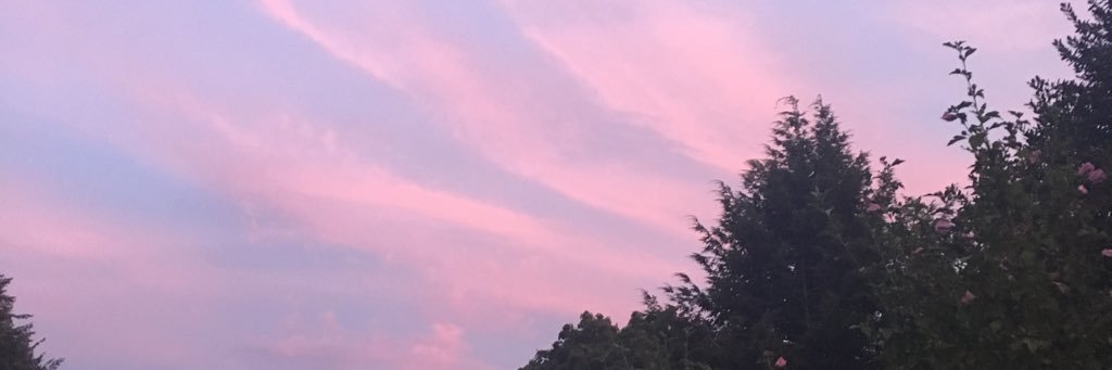 naaa798_'s profile banner image