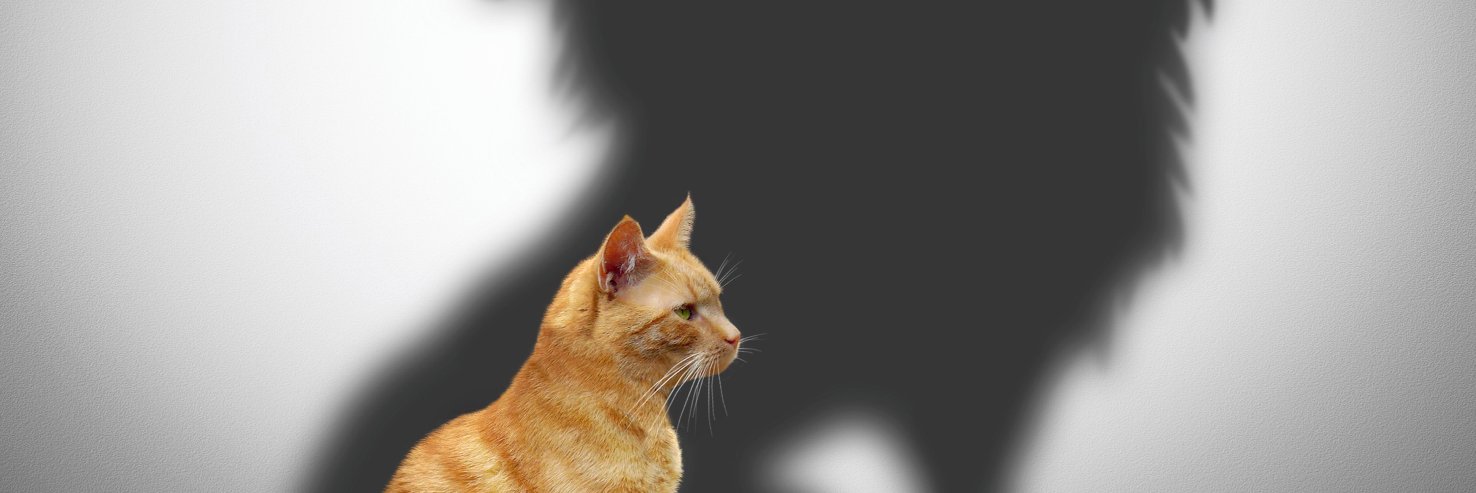 interbe_coach's profile banner image