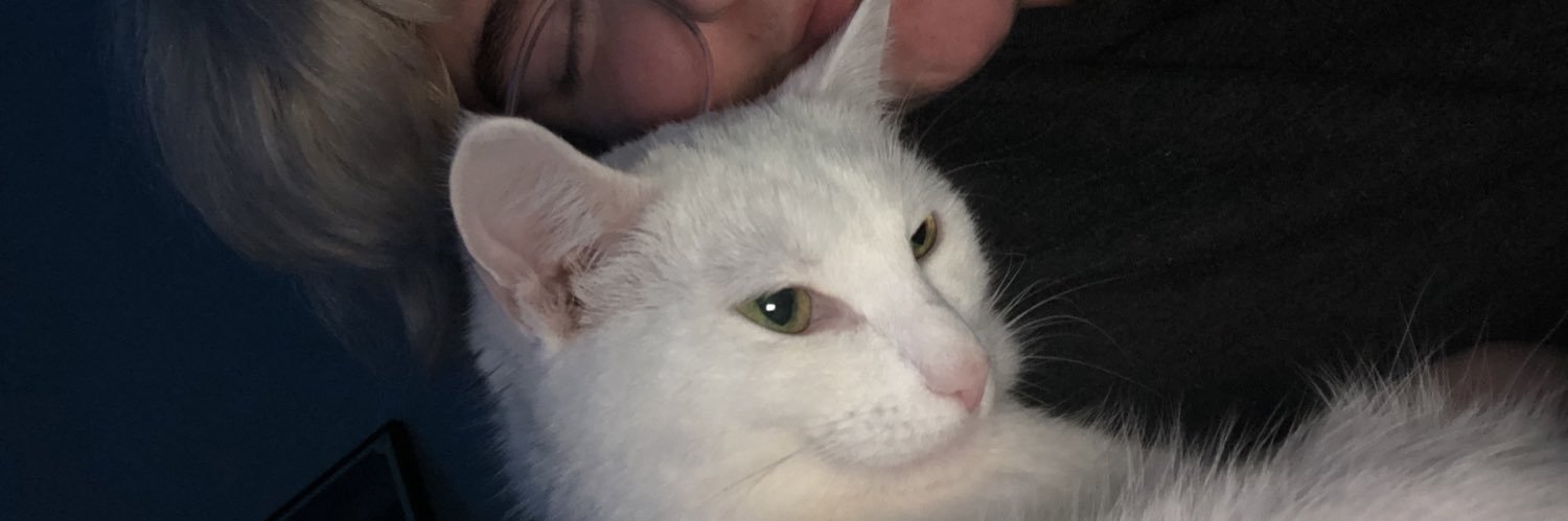 beanzxa123's profile banner image