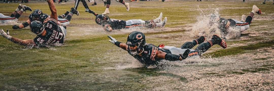 @jaav🐻⬇️ banner