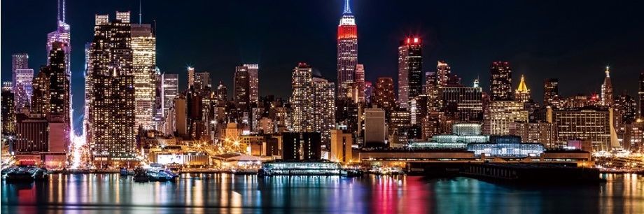 wiltozzi's profile banner image