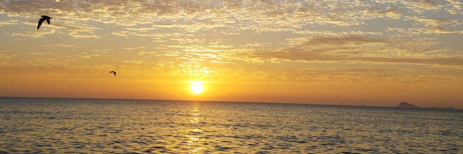 AdBasset31's profile banner image