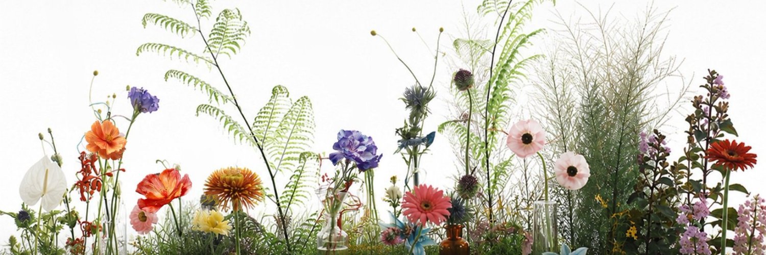 maewdeer's profile banner image