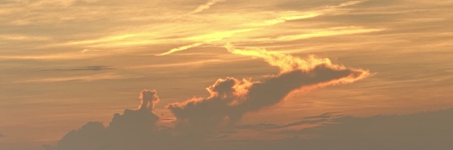 uaioaa's profile banner image