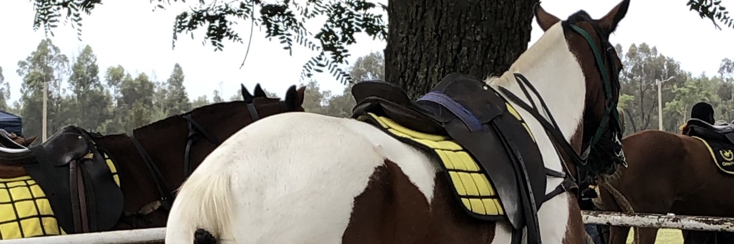 yi_mby's profile banner image