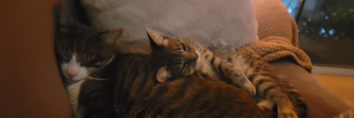 katie_con_queso's profile banner image