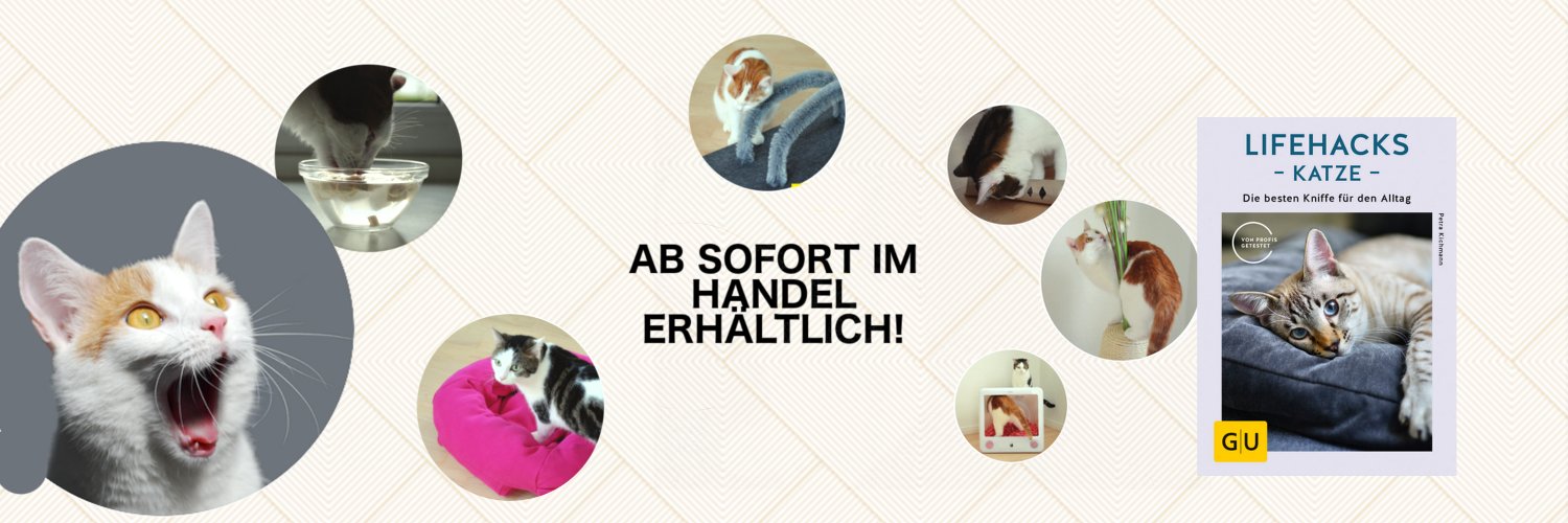 Metropoliscat's profile banner image