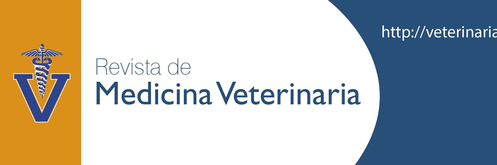 RevMedVet's profile banner image