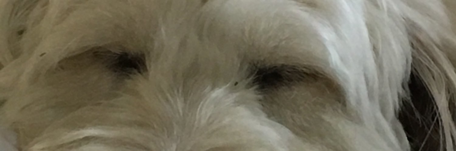 peterwloka's profile banner image