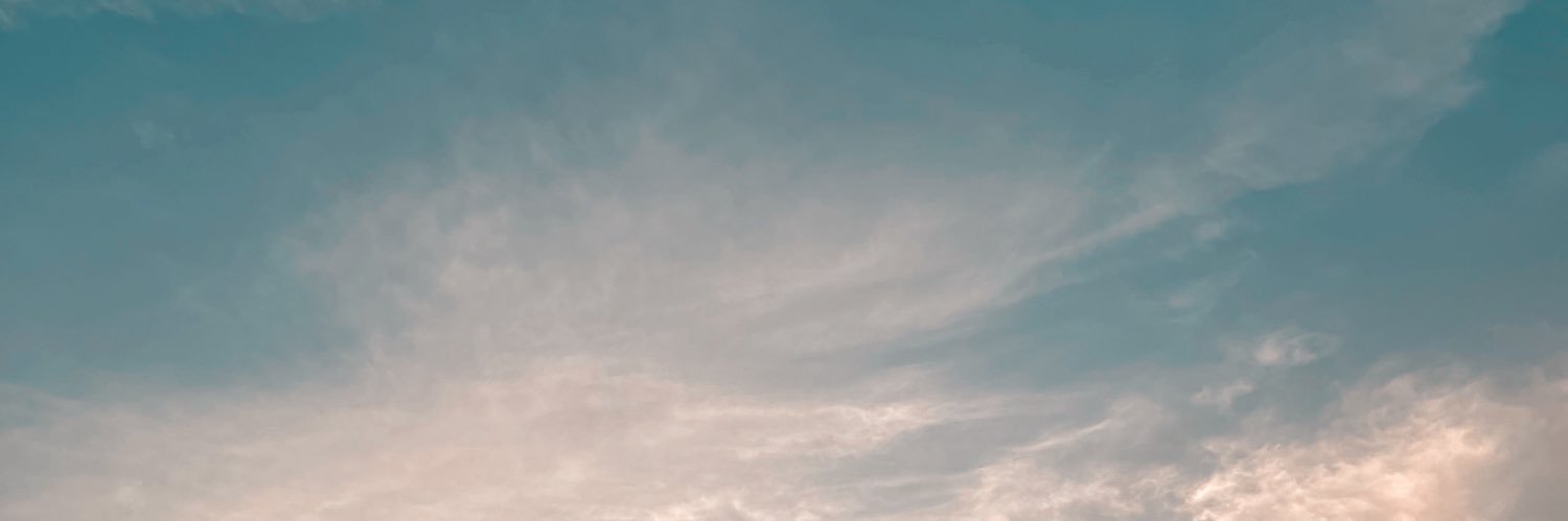 ladydiaft's profile banner image