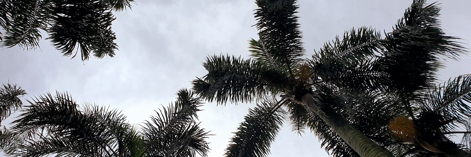 fedecondarco's profile banner image