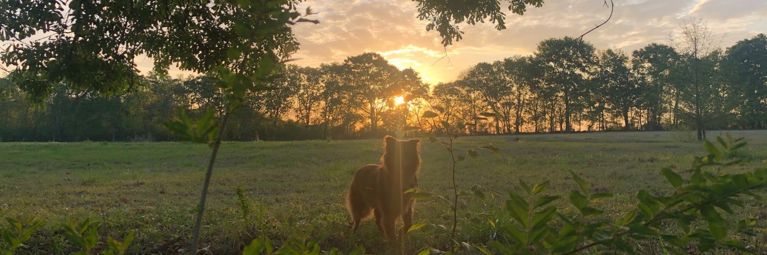 eddyluten's profile banner image