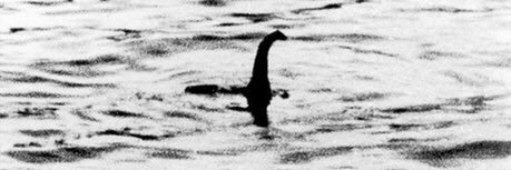 ふじもン of サーモンアッカイヤ banner