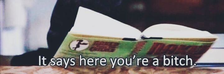 Wild_catty's profile banner image