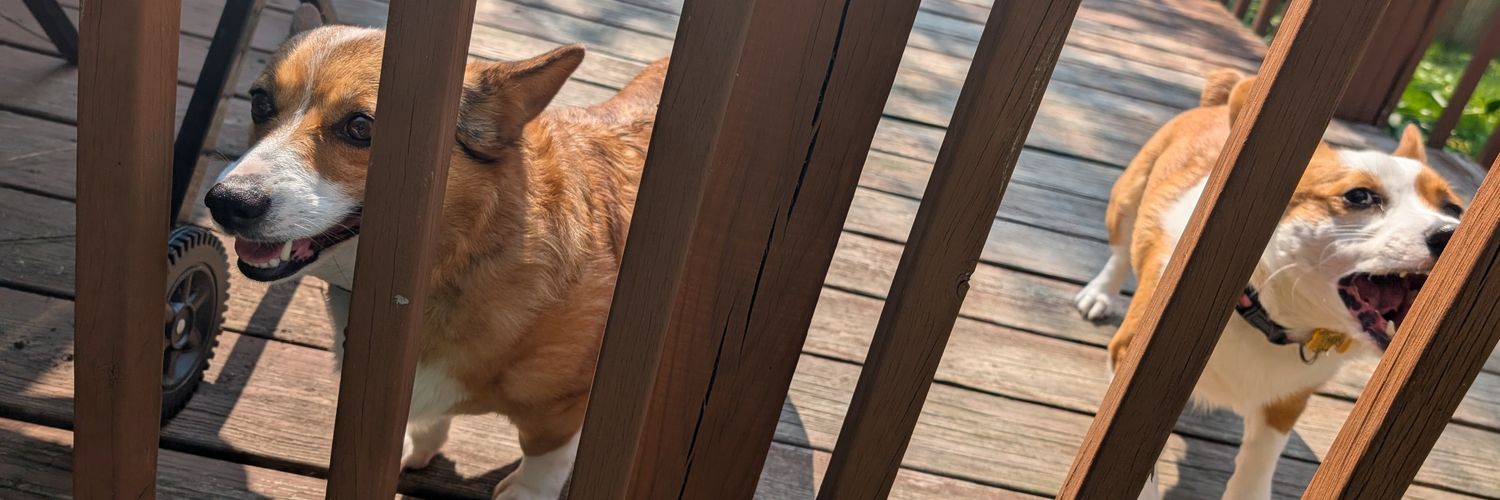 DealingWithFur's profile banner image