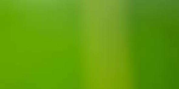 ue_fatima's profile banner image