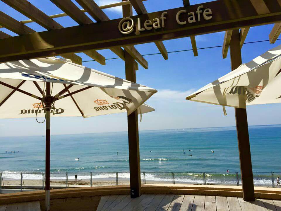 at_LeafCafe's profile banner image
