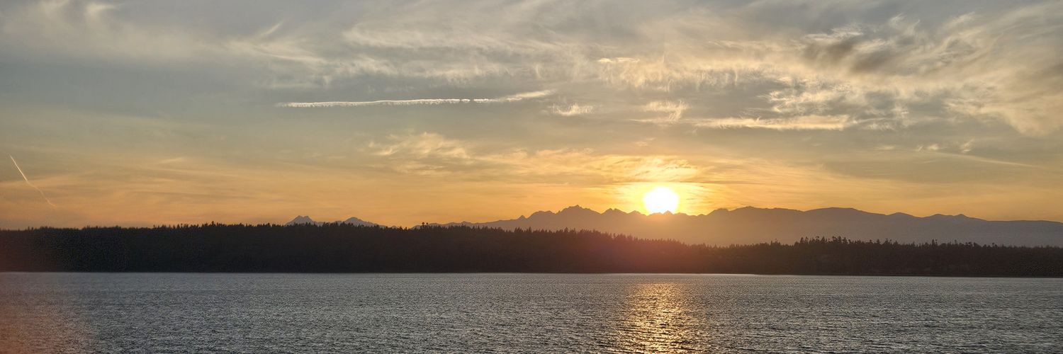 mcnevs's profile banner image