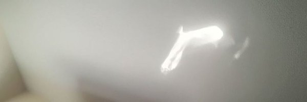 bothcry Profile Banner