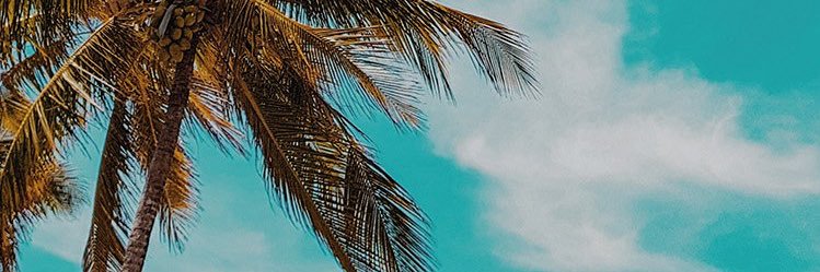 archex_r's profile banner image