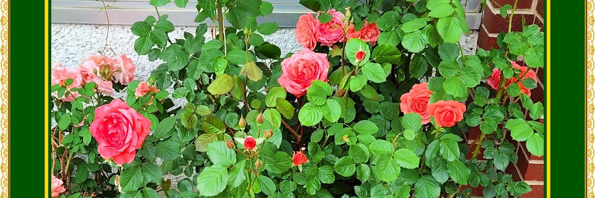 Glenn Johnson 🌍🌏🌎 🇺🇦 🇪🇺 banner