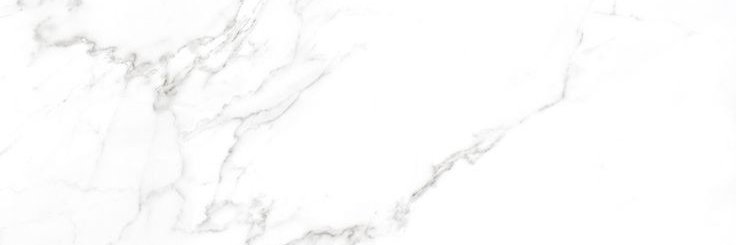 camigortari's profile banner image