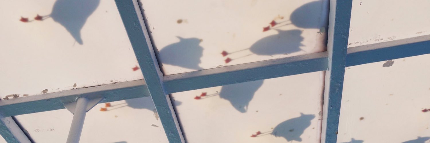 mocomochichi's profile banner image