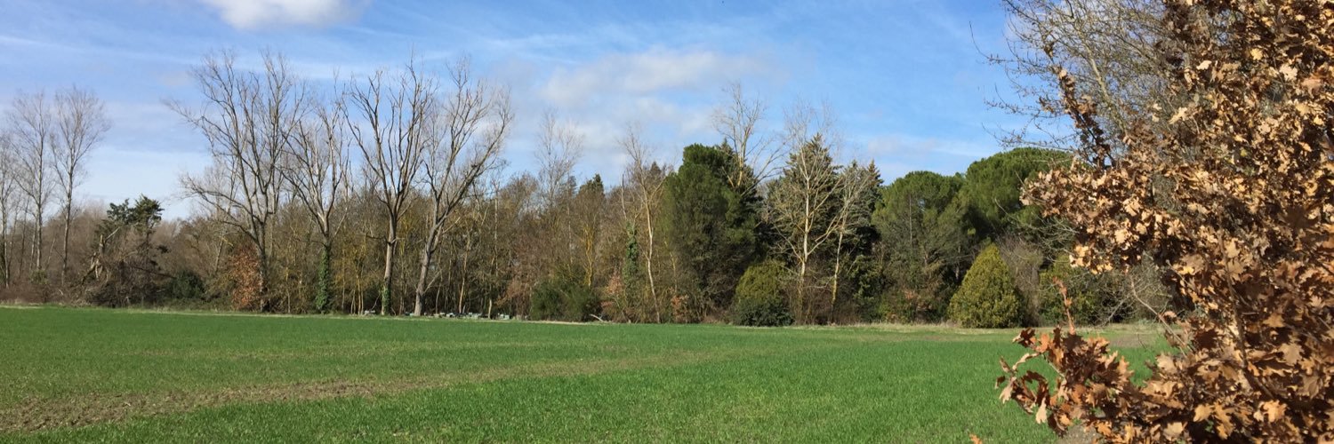 Grégoire dlr 🌱 banner