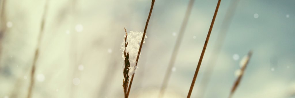 gearl2320's profile banner image