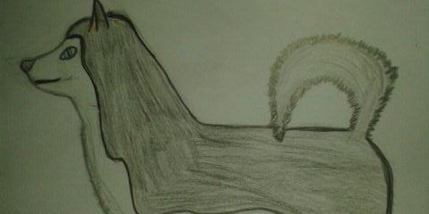JustShayGames's profile banner image