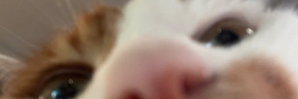 pacha317's profile banner image
