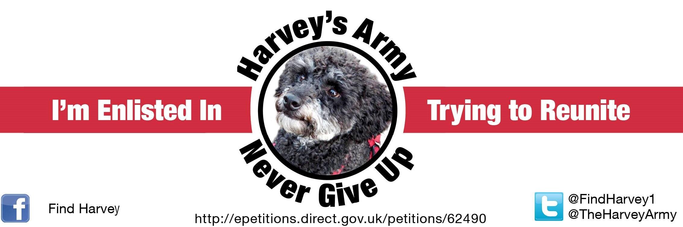 FindHarvey1's profile banner image