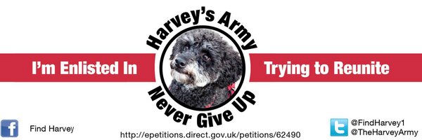 FindHarvey1 Profile Banner