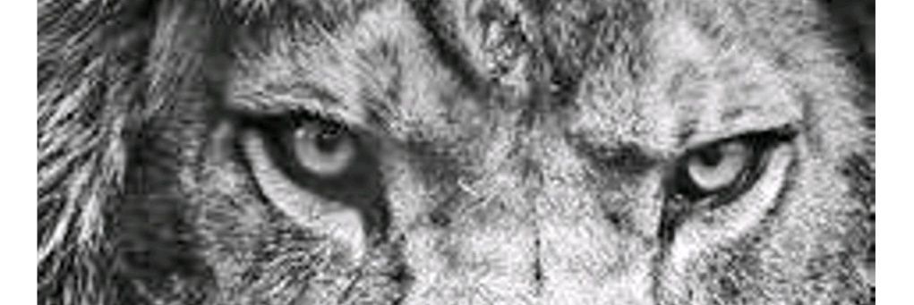 scottglock's profile banner image
