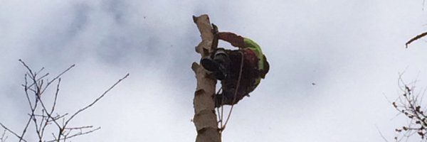 dadek77 Profile Banner