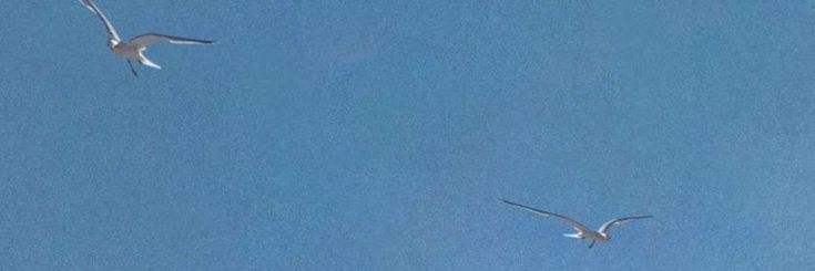 MasterZorel's profile banner image