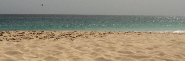 bossholt Profile Banner