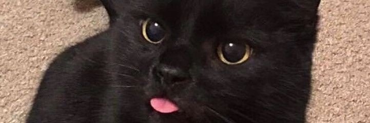 SciFay's profile banner image