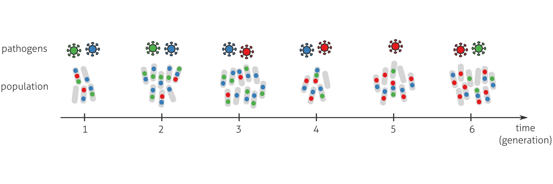 Andreas Tiffeau-Mayer banner