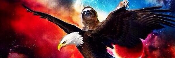Such _Politics banner